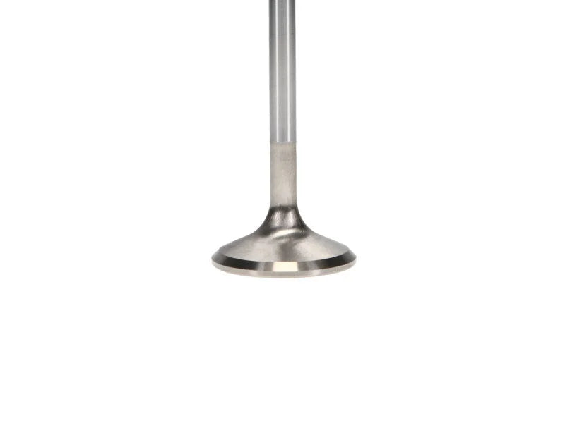Manley Nissan Patrol 35.5mm Race Master Exhaust Valves (Set of 12) - Installation View