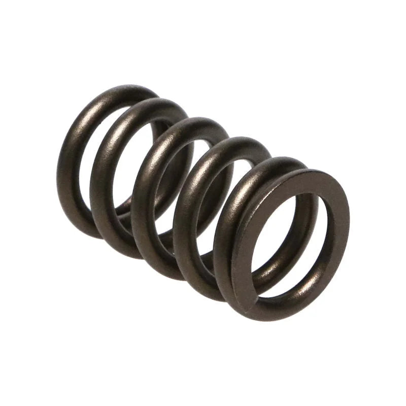 Manley Nissan (RB26DET) 24pc Valve Springs - Main Product View
