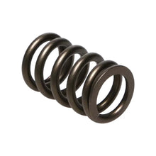 Load image into Gallery viewer, Manley Nissan (RB26DET) 24pc Valve Springs - Main Product View