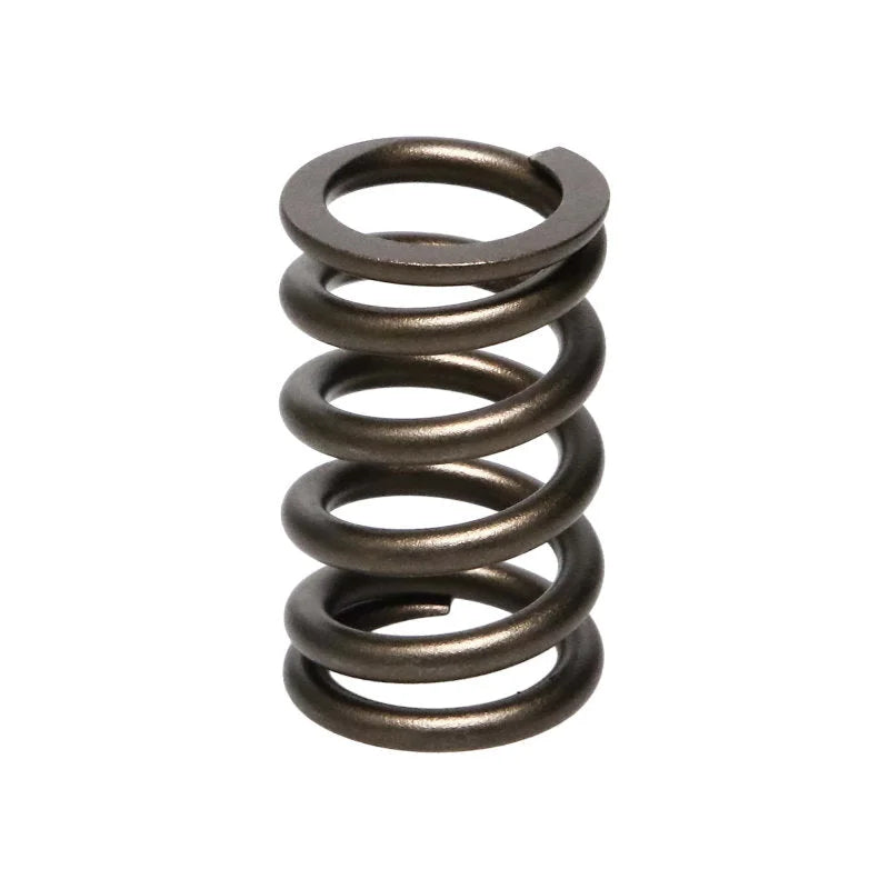 Manley Nissan (RB26DET) 24pc Valve Springs - Back View