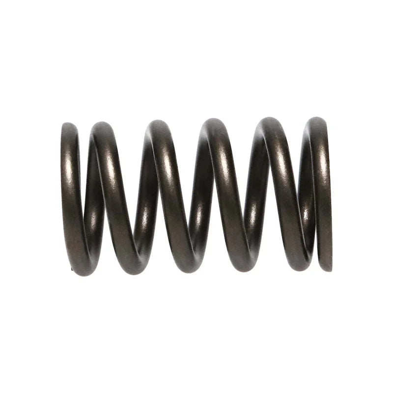 Manley Nissan (SR20DE SR20DET) 16pc Valve Springs - Back View