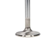 Load image into Gallery viewer, Manley Oldsmobile 330 Exhaust Valve Kit - 1.710in Head Dia. 4.668in O/A Length, 0.3415in Stem - Back View
