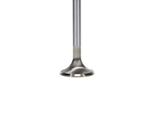 Load image into Gallery viewer, Manley Performance Race Master Series Intake Valve - 1.485in Dia fits Ford Modular Coyote 5.0L Gen III - Back View