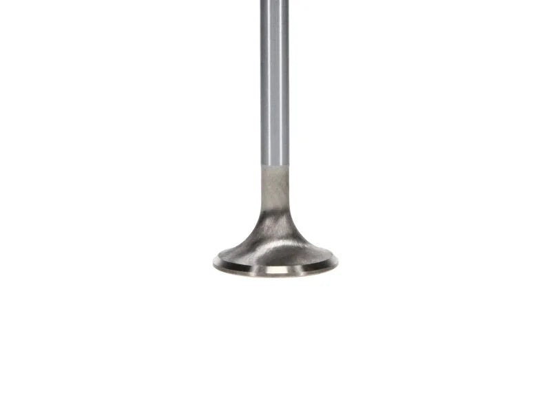 Manley Performance Race Master Series Intake Valve Set - 1.485in Dia fits Ford Modular Coyote 5.0L Gen III - Back View