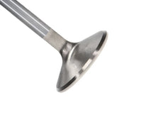 Load image into Gallery viewer, Manley Pontiac 400-428-455 1.770 Race Master Exhaust Valves (Set of 8) - Main Product View