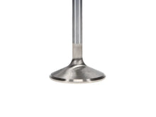 Load image into Gallery viewer, Manley Pontiac 400-428-455 1.770 Race Master Exhaust Valves (Set of 8) - Side View