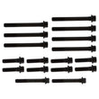 Load image into Gallery viewer, Manley SB Chevy Superior Head Bolts - 1 Set of Bolts for 1 Head - Side View