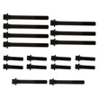 Load image into Gallery viewer, Manley SB Chevy Superior Head Bolts - 1 Set of Bolts for 1 Head - Installation View