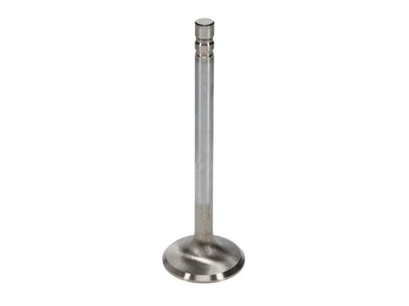 Manley SBC 1.6 Severe Duty Exhaust Valves (Set of 8) - Installation View