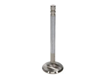 Load image into Gallery viewer, Manley SBC 1.6 Severe Duty Exhaust Valves (Set of 8) - Installation View