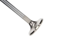 Load image into Gallery viewer, Manley SBC 1.600 Severe Duty Intake Valves (Set of 8) - Main Product View