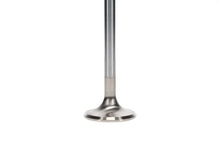 Load image into Gallery viewer, Manley SBC 1.600 Severe Duty Intake Valves (Set of 8) - Installation View