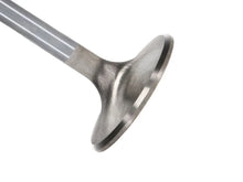 Load image into Gallery viewer, Manley SBC 2.020 Severe Duty Intake Valves (Set of 8) - Main Product View