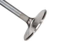 Load image into Gallery viewer, Manley Severe Duty Series BBC Stainless Steel Exhaust Valves 2.250in Dia 5.344in L - Set of 8 - Main Product View