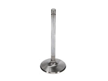 Load image into Gallery viewer, Manley Severe Duty Series BBC Stainless Steel Exhaust Valves 2.250in Dia 5.344in L - Set of 8 - Additional View 6