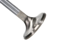 Load image into Gallery viewer, Manley Severe Duty Series Small Block Chevy Stainless Steel Exhaust Valves - Set of 8 - Main Product View