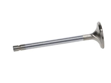 Load image into Gallery viewer, Manley Severe Duty Series Small Block Chevy Stainless Steel Exhaust Valves - Set of 8 - Side View