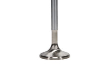 Load image into Gallery viewer, Manley Severe Duty Stainless Steel Exhaust Valves Chrysler V8 1.600 - Set of 8 - Side View