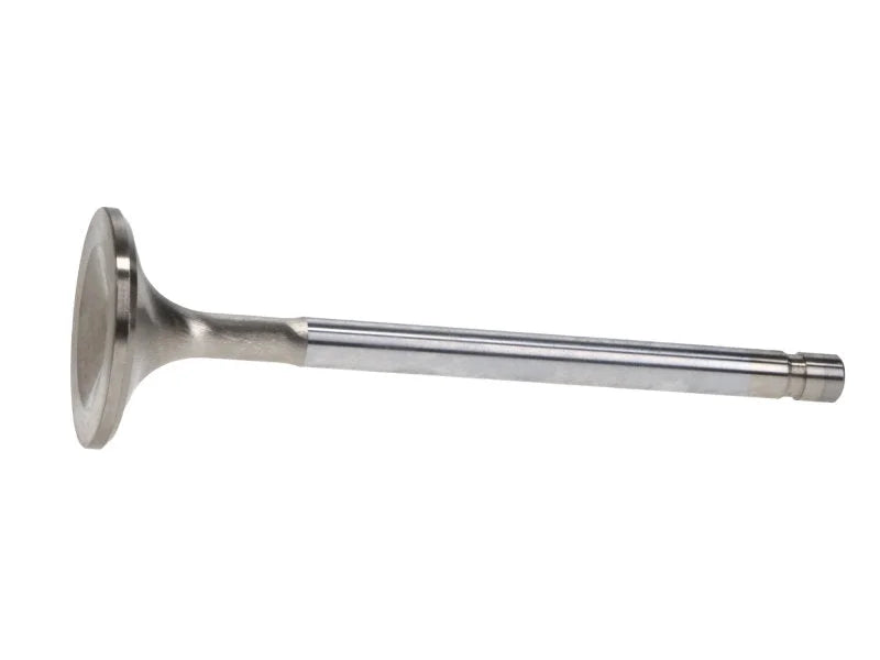 Manley Severe Duty Stainless Steel Exhaust Valves Chrysler V8 1.600 - Set of 8 - Back View