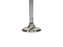 Load image into Gallery viewer, Manley Small Block Chevrolet 1.500 Budget Performance Exhaust Valves - Back View