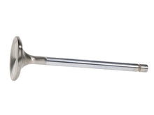 Load image into Gallery viewer, Manley Small Block Chevrolet 1.500 Budget Performance Exhaust Valves - Installation View