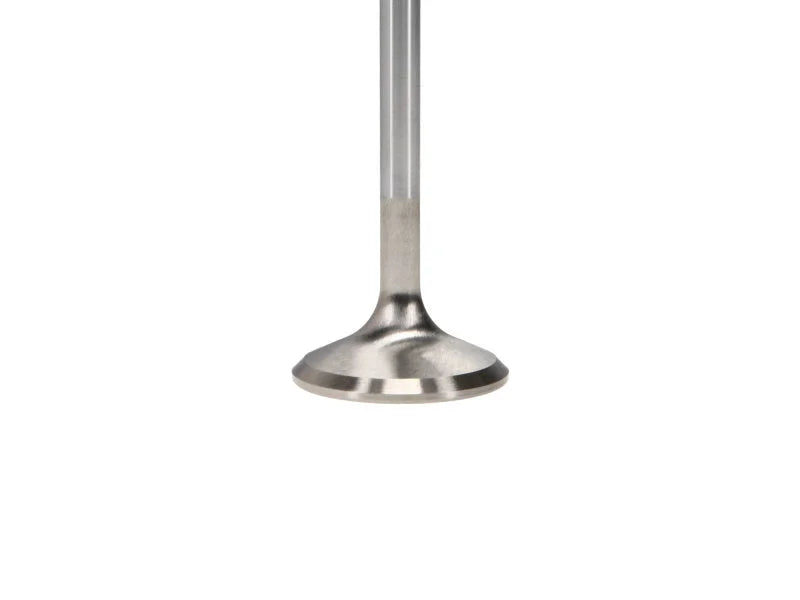 Manley Small Block Chevy 1.500in Head Diameter Race Flo Exhaust Valves (Set of 8) - Installation View