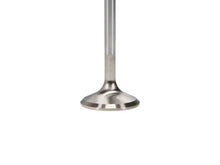 Load image into Gallery viewer, Manley Small Block Chevy 1.600 Dia +.400 Installed Height Extreme Alloy Exhaust Valve (Single Valve) - Back View