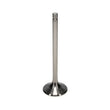 Load image into Gallery viewer, Manley Titanium Exhaust Valve Kit - Big Block Chevrolet - Brodix SR20 - Dart 20 Degree - Side View