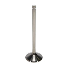 Load image into Gallery viewer, Manley Titanium Exhaust Valve Kit - Big Block Chevrolet - M&amp;M X20 - Back View