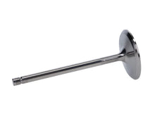 Load image into Gallery viewer, Manley Titanium Series Chevrolet LS7 intake Valve Kit - Back View