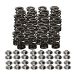 Load image into Gallery viewer, Manley Toyota 3UR-FE Valve Spring and Retainer Kit (Use factory valve locks) - Back View