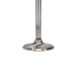 Load image into Gallery viewer, Manley Toyota 5.7L 3UR-FE intake Valve Kit - 38.50mm Head Dia. 106.05mm O/A Length, 0.2155in Stem - Side View
