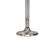 Load image into Gallery viewer, Manley Toyota Land Cruiser 4.5L (1FZ-FE) 38MM Race Flo Intake Valves - Back View
