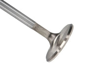 Load image into Gallery viewer, Manley Toyota Land Cruiser 4.5L (1FZ-FE) DOHC 24 Valve 39.5mm Race Flo Intake Valves (Set of 24) - Main Product View