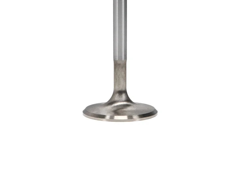 Manley Toyota Land Cruiser 4.5L (1FZ-FE) DOHC 24 Valve 39.5mm Race Flo Intake Valves (Set of 24) - Back View