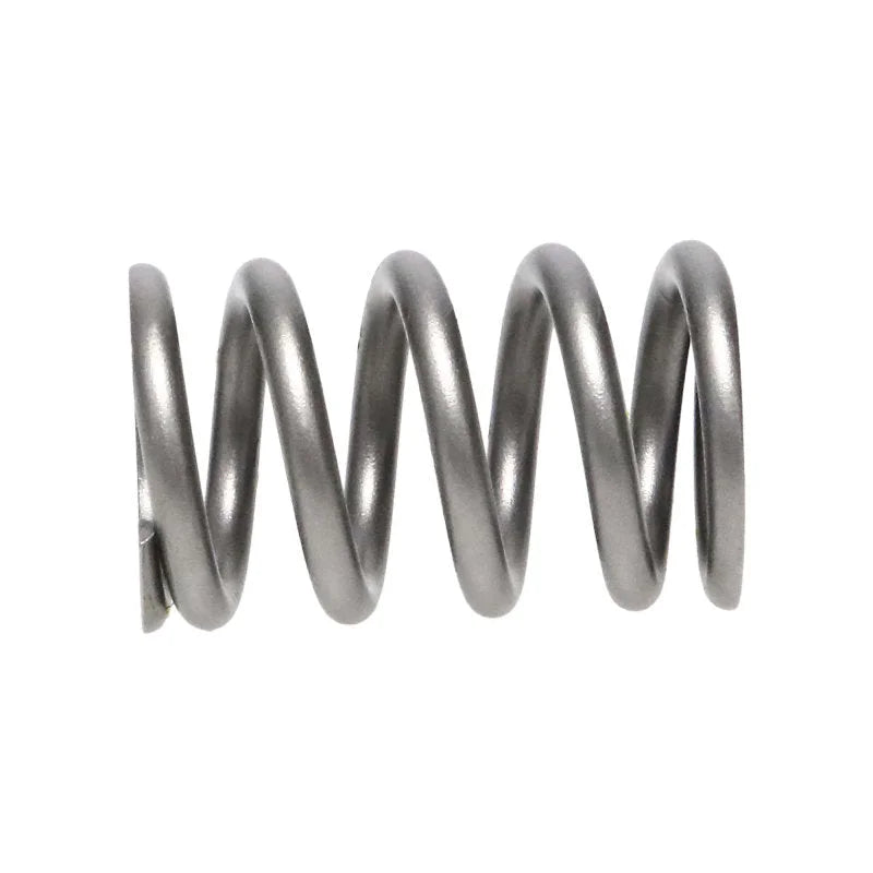Manley Toyota Supra (2JZGT 2JZGTE 6 cyl) 24pc Valve Springs - Back View