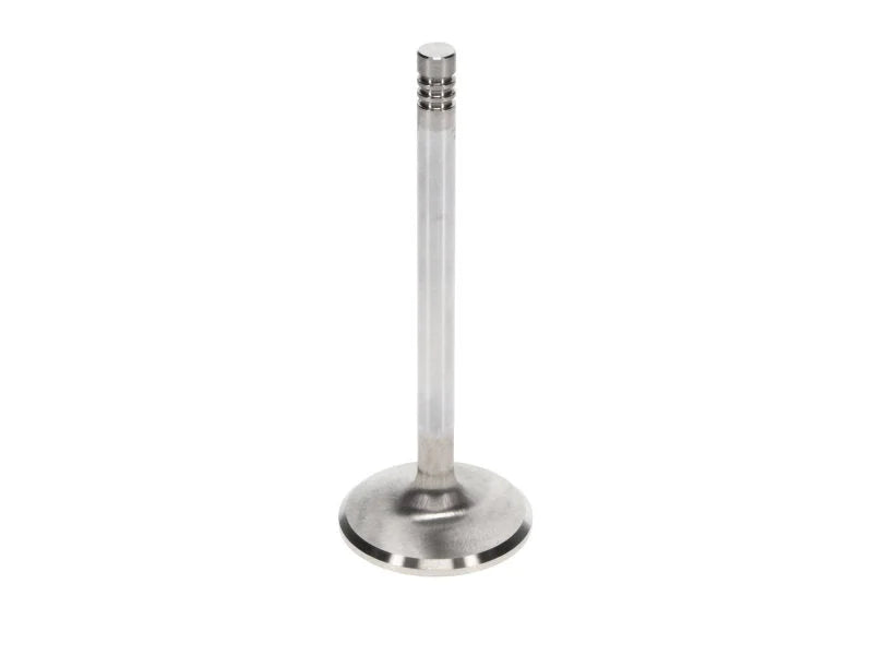 Manley VW 1200-1600 Single Groove 33mm Race Master Exhaust Valves (Set of 4) - Back View
