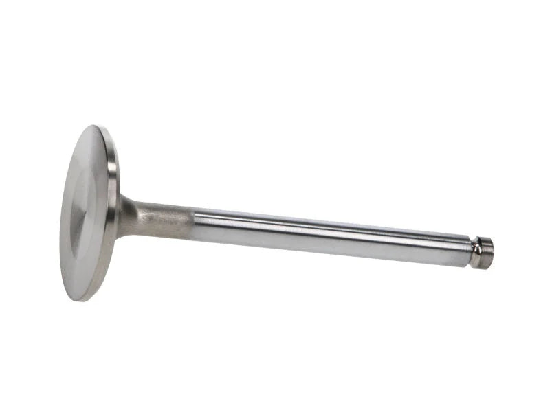 Manley VW Rabbit Stainless 40.5mm Race Master Intake Valves (Set of 4) - Back View
