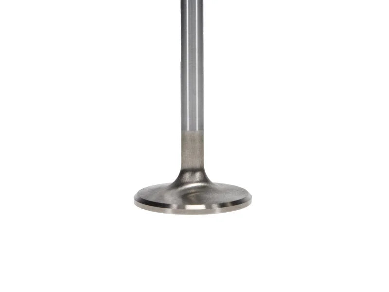 Manley VW Rabbit Stainless 40.5mm Race Master Intake Valves (Set of 4) - Installation View