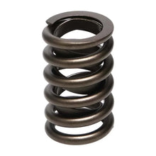 Load image into Gallery viewer, Manley Valve Spring, SPRING-1.250 SINGLE - Back View