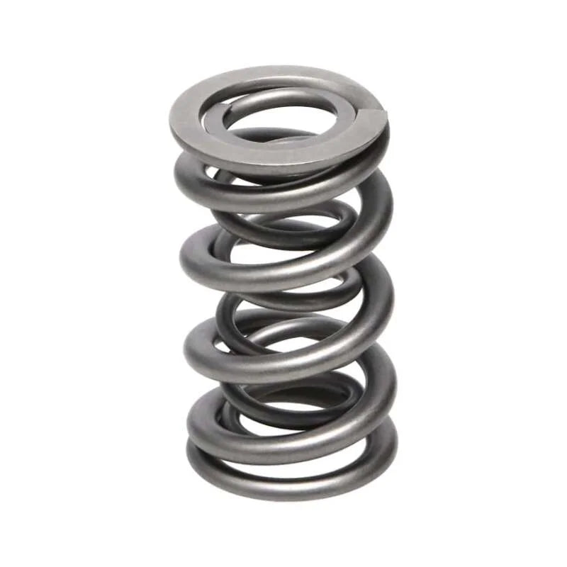 Manley Valve Spring, SPRING-1.324 DOUBLE - Installation View