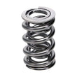 Load image into Gallery viewer, Manley Valve Spring, SPRING-1425 POLISHED - Side View
