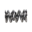 Load image into Gallery viewer, Manley Valve Spring, SPRING-1425 POLISHED - Back View