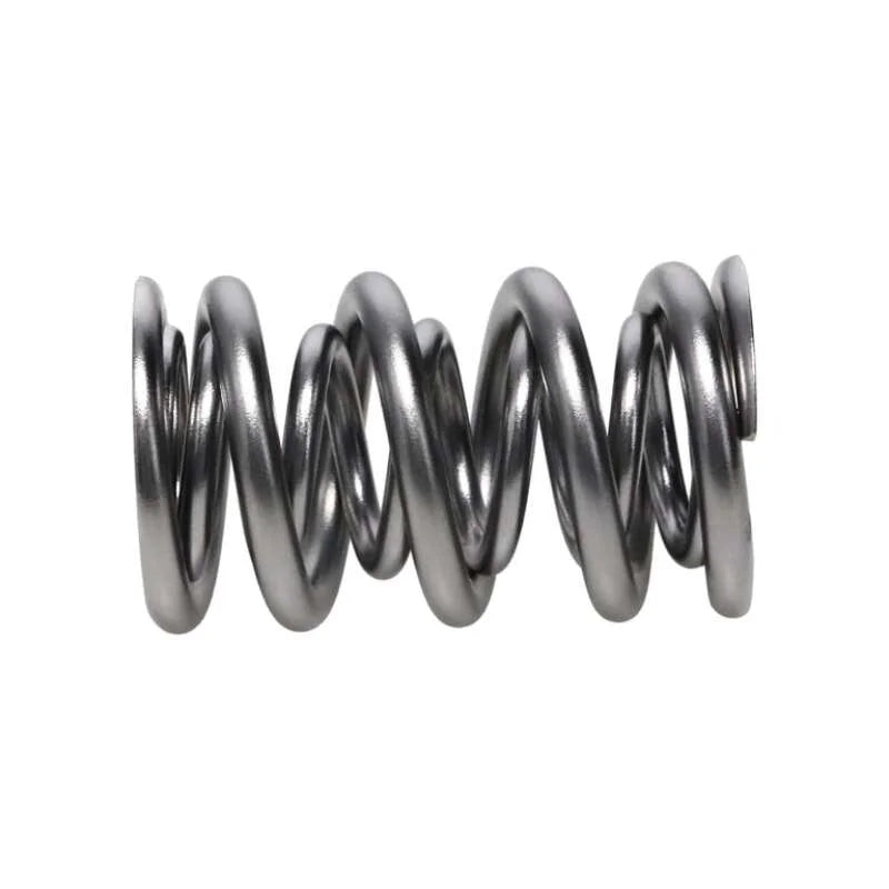 Manley Valve Spring, SPRING-1425 POLISHED - Back View