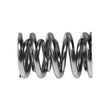 Load image into Gallery viewer, Manley Valve Spring, SPRING-1443 POLISHED - Back View
