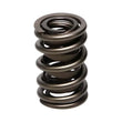 Load image into Gallery viewer, Manley Valve Spring, SPRING-1.530 DOUBLE - Back View
