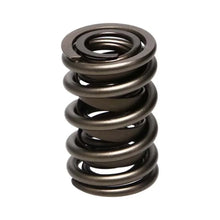 Load image into Gallery viewer, Manley Valve Spring, SPRING-1.530 DOUBLE - Back View