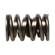 Load image into Gallery viewer, Manley Valve Spring, SPRING-1.530 DOUBLE - Additional View 5