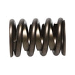 Load image into Gallery viewer, Manley Valve Spring, SPRING-1.550 SINGLE - Side View