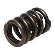 Load image into Gallery viewer, Manley Valve Spring, SPRING-1.550 SINGLE - Additional View 5